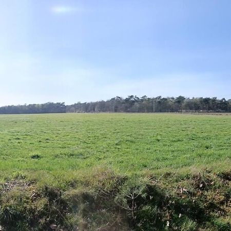 Kindvriendelijke Bungalow In Het Bos Bij Zwemmeer. Vilsteren Zewnętrze zdjęcie