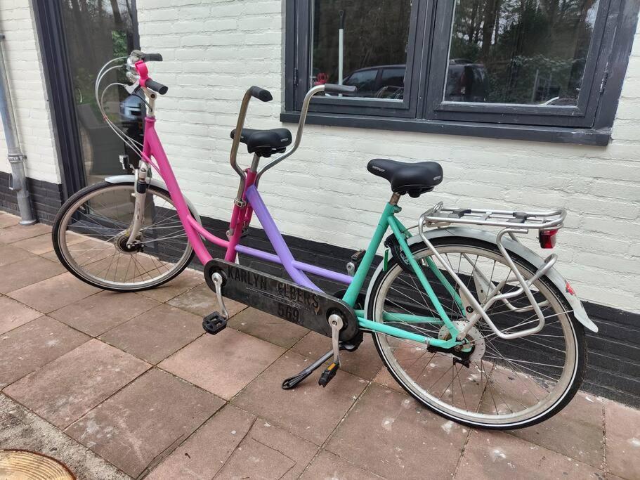 Kindvriendelijke Bungalow In Het Bos Bij Zwemmeer. Vilsteren Zewnętrze zdjęcie