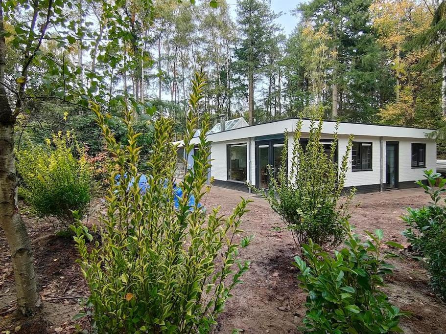 Kindvriendelijke Bungalow In Het Bos Bij Zwemmeer. Vilsteren Zewnętrze zdjęcie