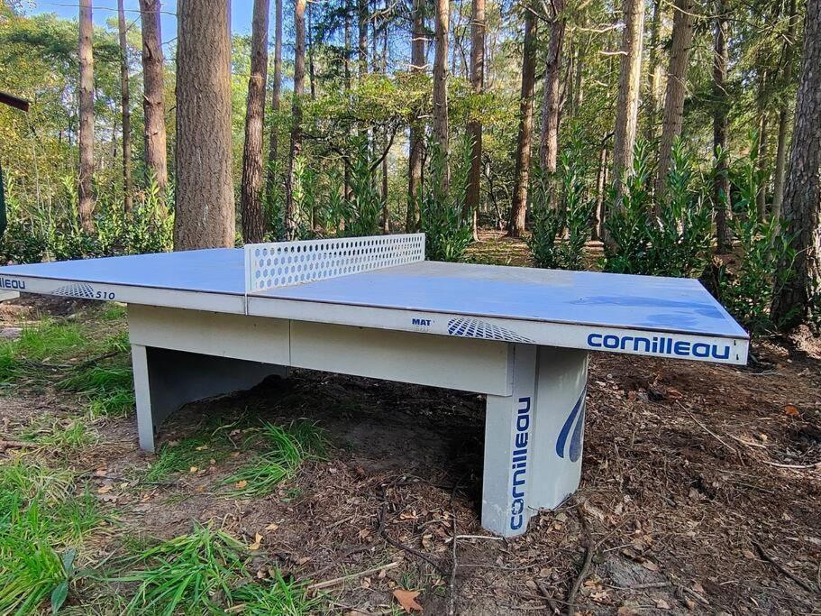 Kindvriendelijke Bungalow In Het Bos Bij Zwemmeer. Vilsteren Zewnętrze zdjęcie