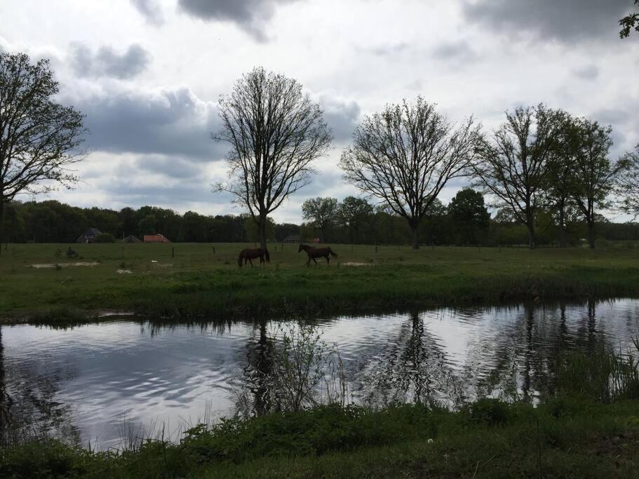 Kindvriendelijke Bungalow In Het Bos Bij Zwemmeer. Vilsteren Zewnętrze zdjęcie